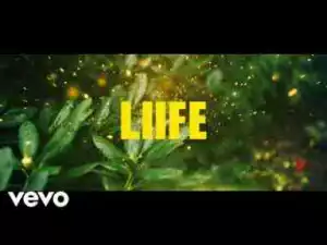 Video: Desiigner Ft. Gucci Mane - Liife